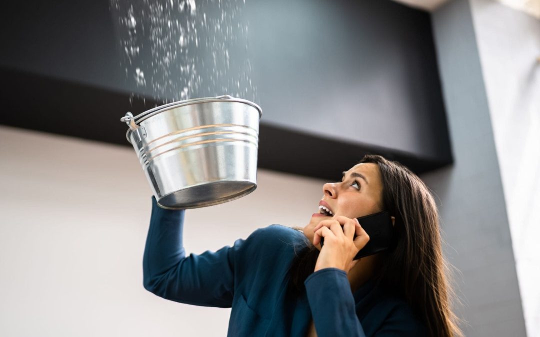 The Importance of Regular Roof Inspections: Preventing Leaks Before They Start